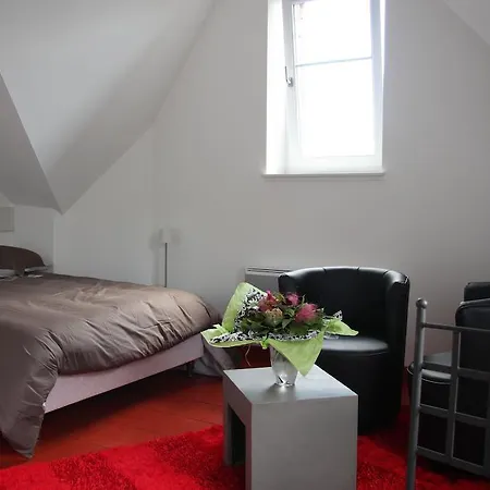 Studio De La Petite Venise Colmar