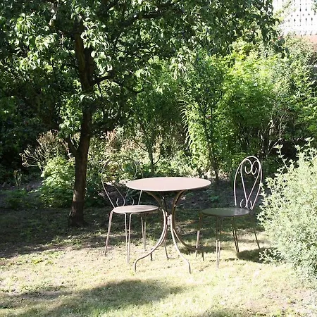 Studio De La Petite Venise * Colmar